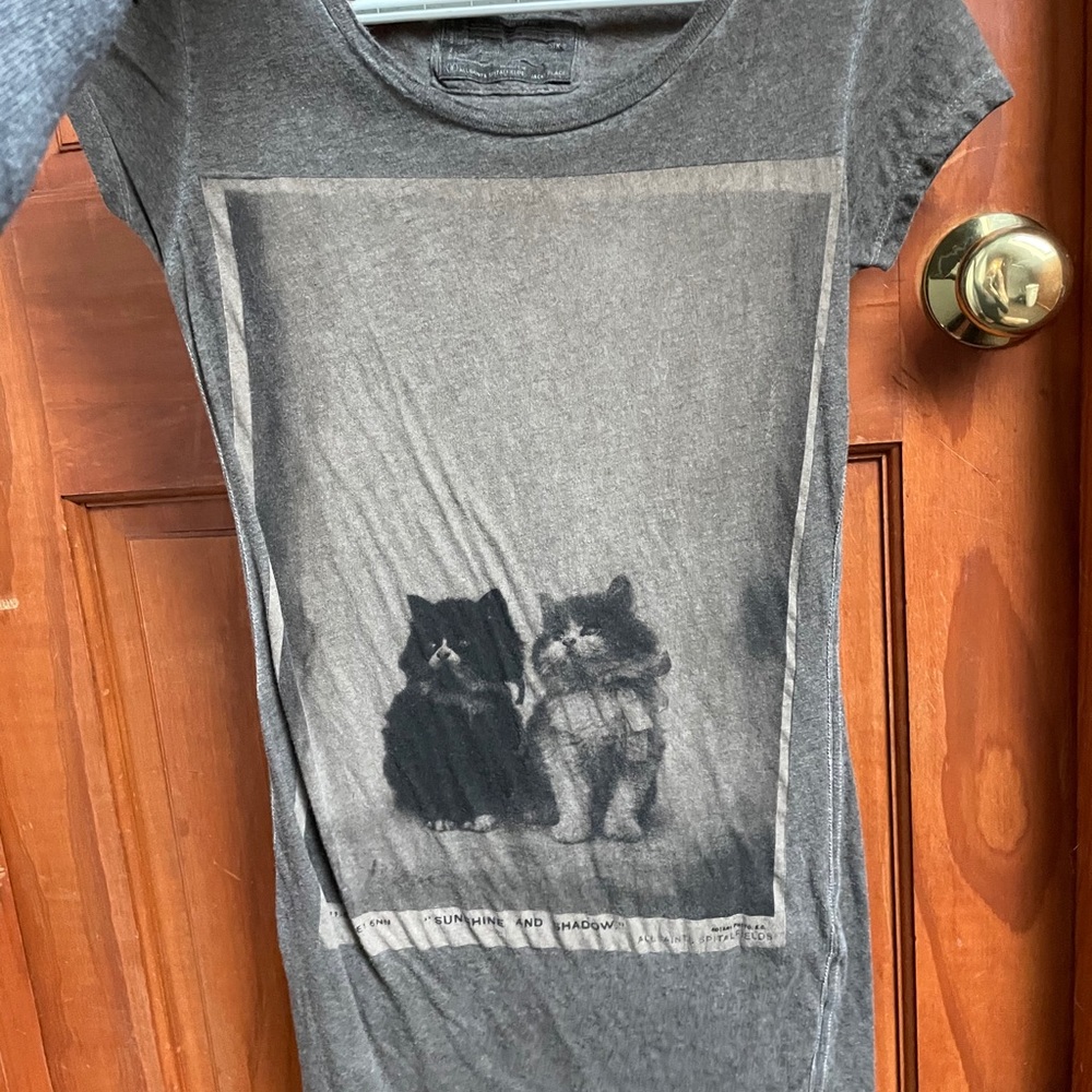 All Saints kittens shirt